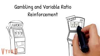 Operant Conditioning Schedule of Reinforcement Explained [upl. by Yhtomit]