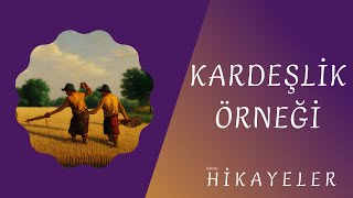 KARDEÅLÄ°K Ã–RNEÄÄ°  Hikayeler [upl. by Entroc697]