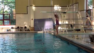 Teach a Flip for Springboard Diving [upl. by Dlorag]