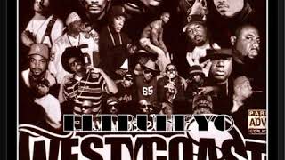 90s West Coast Classic Gangster Rap Mix  Hoo Bangin [upl. by Correna547]