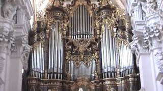 The Largest Cathedral Organ [upl. by Doraj]