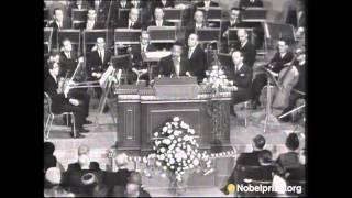 Martin Luther King Jr Nobel Peace Prize Acceptance Speech [upl. by Irrok515]