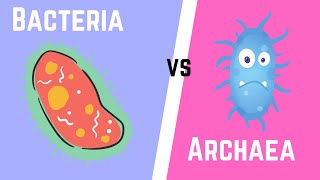 Difference between Bacteria and Archaea [upl. by Yebot]