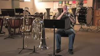 How Do Brass Instruments Make Sound [upl. by Alyos534]