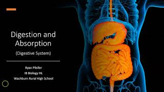 What to do when Newborn Vomits milk  Overfeeding Milk  Dr Harish C  Doctors Circle [upl. by Yrak]