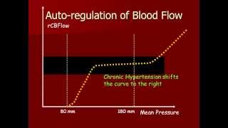 Autoregulation of Cerebral Blood [upl. by Heinrick]