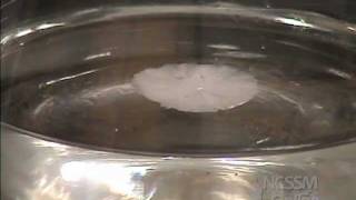 Sodium Acetate Crystals Supersaturated Solution [upl. by Anolahs]