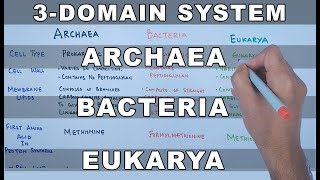 Archaea  Bacteria  Eukarya [upl. by Novahs]