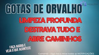 HOOPONOPONO GOTAS DE ORVALHO [upl. by Adnoraj]