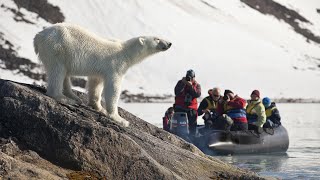 POLAR BEAR CRUISE SpitsbergenSvalbard [upl. by Ayrb62]