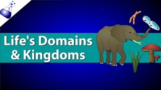 Domains and Kingdoms of life [upl. by Polish]