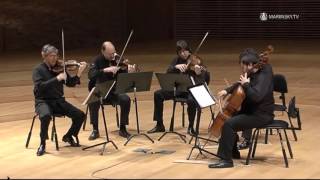 Franz Schubert String Quintet in C Major D 956 [upl. by Elleon]