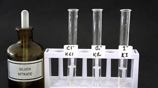 Test for halides [upl. by Jobi]