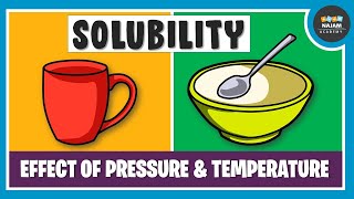 What is Solubility Chemistry [upl. by Udall]