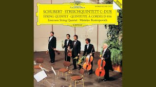 Schubert String Quintet in C Major D 956  II Adagio [upl. by Cyrillus]