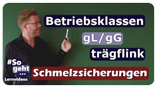 Betriebsklassen gLgG  Schmelzsicherungen  einfach und anschaulich erklärt [upl. by Linet]