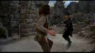 Epic Fight Scenes 6  The Princess Bride Inigo Montoya vs Westley [upl. by Yelmene]