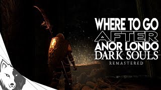 Where To Go amp What To Do After Anor Londo Where to Put The Lordvessel  Dark Souls Remastered [upl. by Esmerelda166]