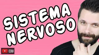 SISTEMA NERVOSO  FISIOLOGIA  Aula  Biologia com Samuel Cunha [upl. by Tabber]