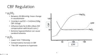 Principles of Neurophysiology  Dr Rebel [upl. by Nohtanhoj]