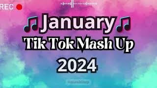 TikTok Mashup 2024 🎵 [upl. by Moneta]