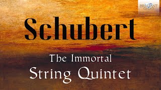 Schubert the Immortal String Quintet [upl. by Faxan]