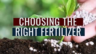 Choosing the right fertilizer for vegetable gardens [upl. by Nisbet174]