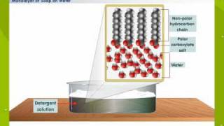 Cleansing Action Of Soap [upl. by Rehteh]