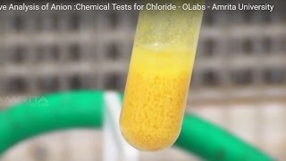 Chemical Tests for Chloride  MeitY OLabs [upl. by Bobseine]