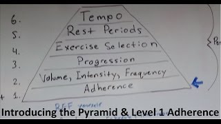 Muscle and Strength Training Pyramid Level 1 and intro [upl. by Hutton]