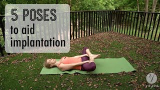 5 Poses to aid implantation [upl. by Yordan]