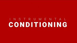 Instrumental Conditioning Examples in Marketing  Consumer Behavior [upl. by Aneral54]