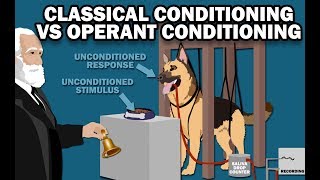 CLASSICAL VS OPERANT CONDITIONING [upl. by Herta]