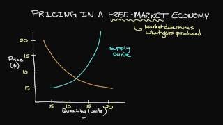 Pricing in a FreeMarket Economy [upl. by Burnham]