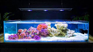 How I Built My Shallow Reef Tank How To Make a Reef Tank [upl. by Juster]