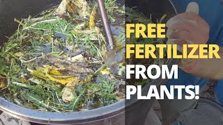 How to Make POWERFUL Fertilizer from ANY Plant [upl. by Francois]