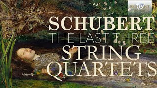 Schubert The Last Three String Quartets [upl. by Ayekal875]