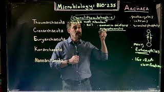 Archaea Diversity [upl. by Vachel207]