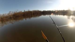 Arbogast JitterBug In Water Review amp How To Cast amp Retrieve [upl. by Hennessy]