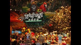 rainforest cafe Rainforest Cafe [upl. by Novahc]