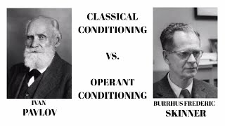 Classical Conditioning vs Operant Conditioning Psychology [upl. by Tedmann198]