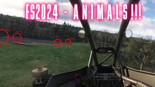 Finding ANIMALS in MSFS2024 [upl. by Gastineau231]