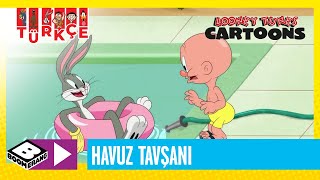 SEVİMLİ KAHRAMANLAR HİKAYELER  Havuz Tavşanı  Boomerang TV Türkiye [upl. by Koziel]