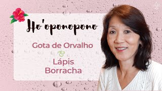 HO’OPONOPONO  Ferramentas de Limpeza Gota de Orvalho amp Lápis Borracha  Silvia Sayuri Morita 56 [upl. by Tiram]