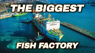 Worlds LARGEST Floating Fish Processing Vessel  Episode 1 [upl. by Kain]