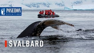 Svalbard in 1 minute  The ultimate Arctic getaway [upl. by Grider695]