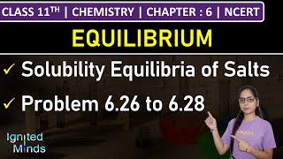 Class 11th Chemistry  Solubility Equilibria of Salts  Problem 626 to 628  Chapter 6  NCERT [upl. by Wilhelm]