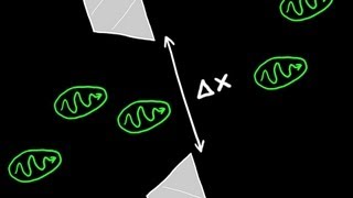 Heisenbergs Uncertainty Principle Explained [upl. by Laveen120]