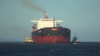 Ship Horn  Horn blast from bulk carrier ship 4K [upl. by Simon]