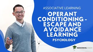 Operant Conditioning – Escape and Avoidance Learning [upl. by Notnef40]